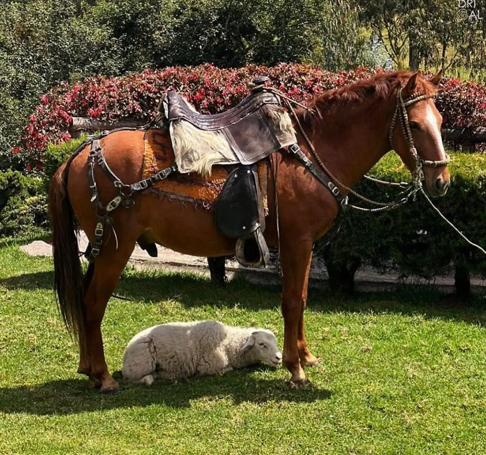 *****  Hacienda Madrigal Hotel Quito Ecuador